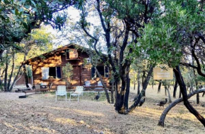 Ramsey Canyon Cabins